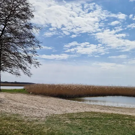 Odnova - With Bobolin