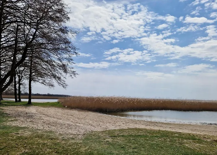 Odnova - With Bobolin